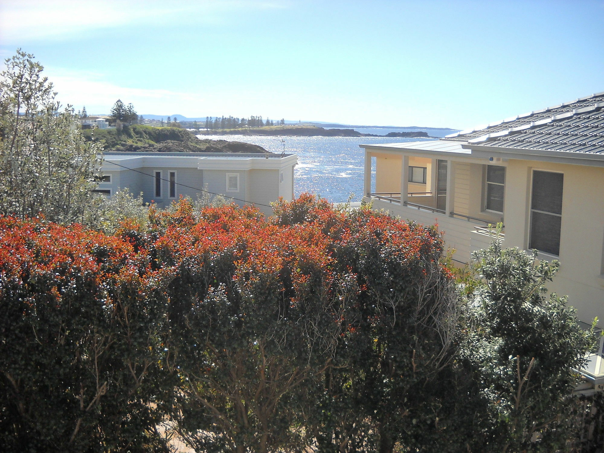 Shutters By The Sea Kiama-Sea Views-Waterfront-Private On Coastal Walk Esterno foto